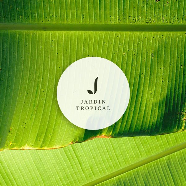 Diseño de la identidad visual del hotel Jardín Tropical en Tenerife